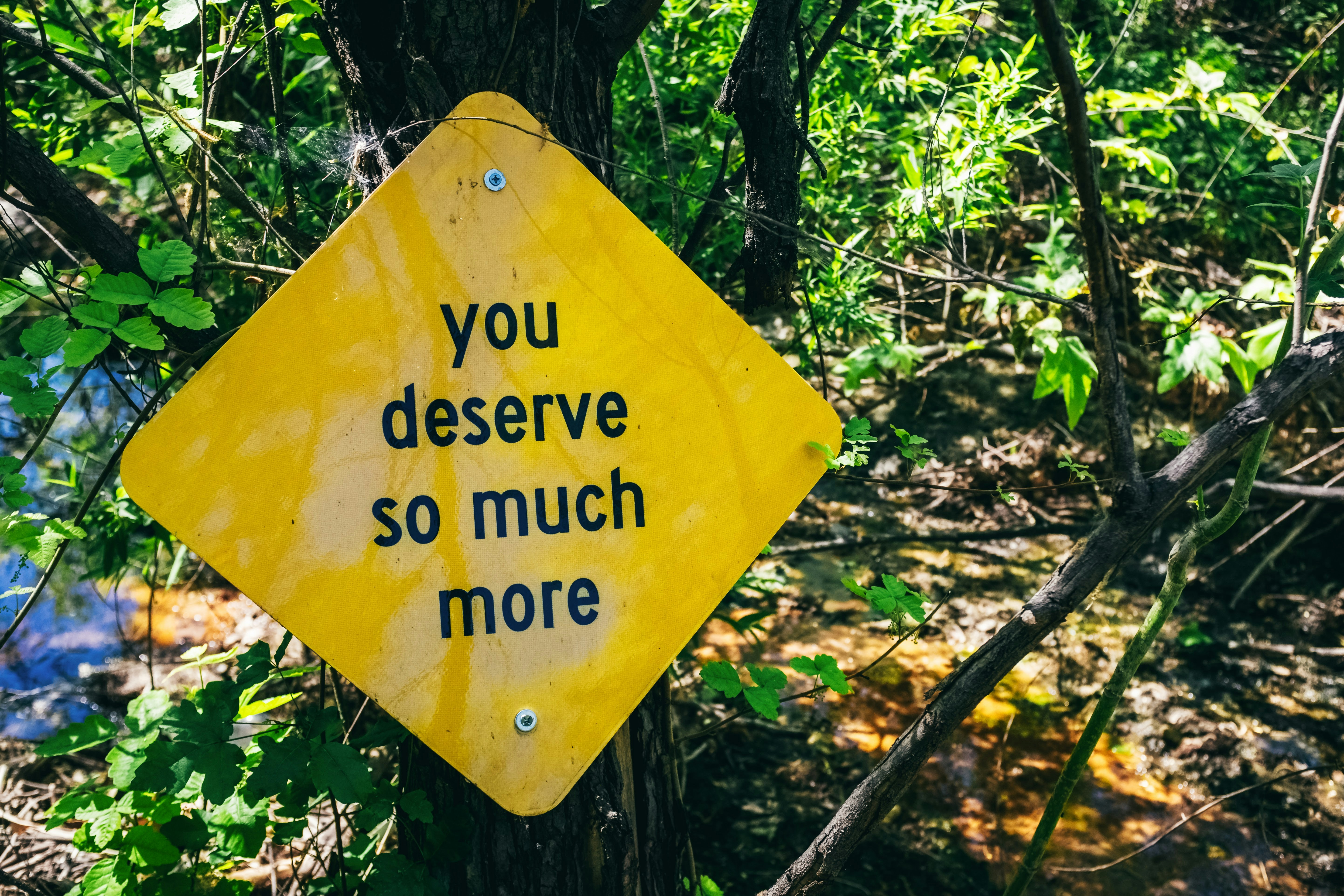 A yellow diamond sign reading 'you deserve so much more' nailed to a tree in a sunlit forest