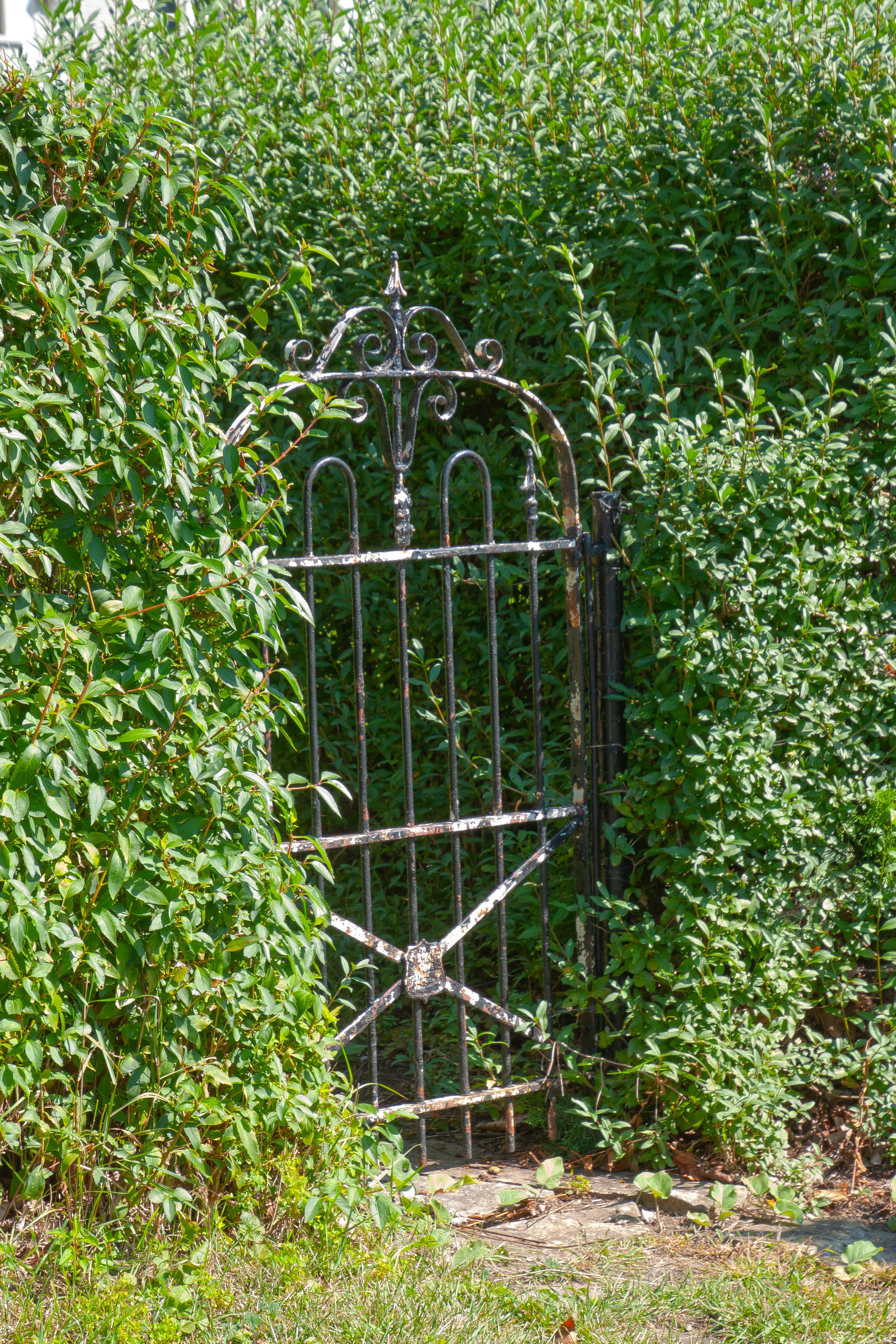 Wrought iron gate set into a tall green hedge