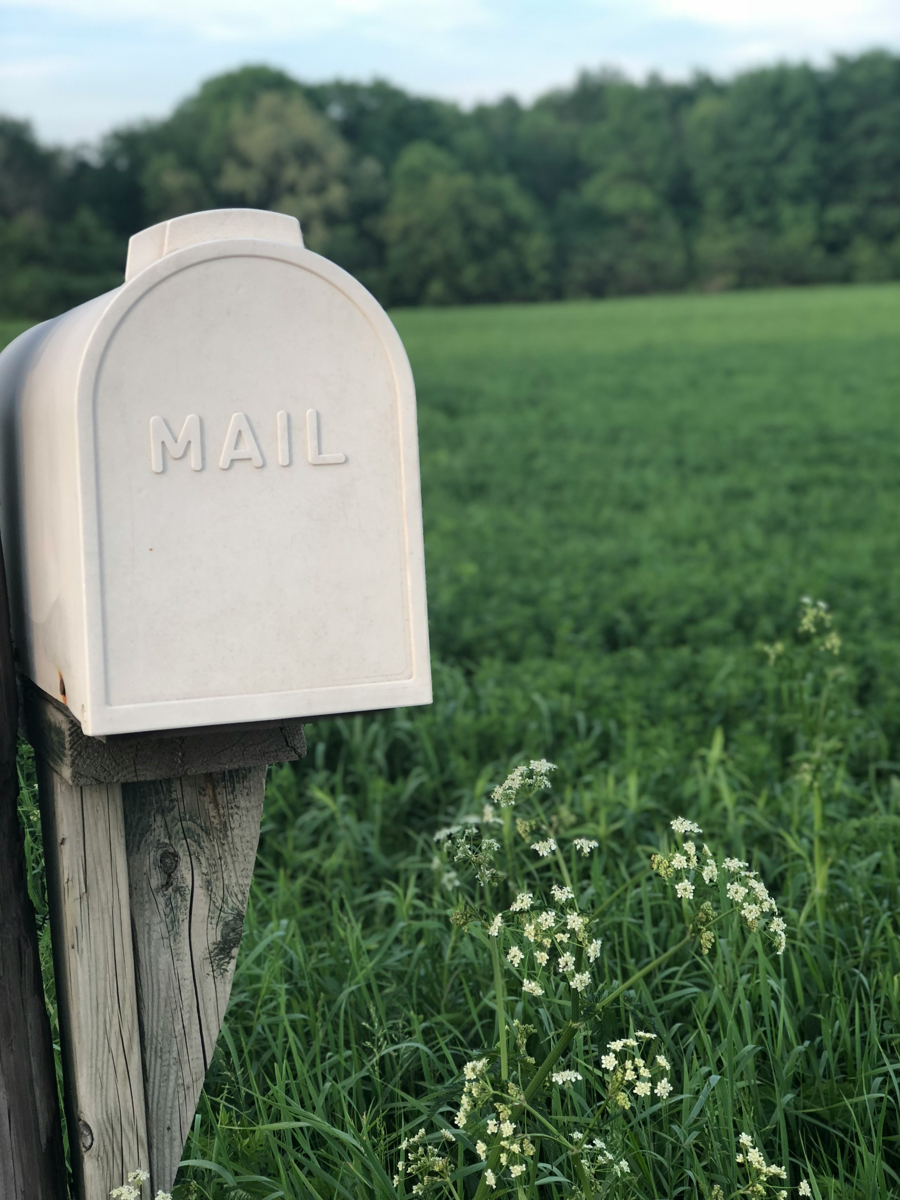 White mailbox in a green field